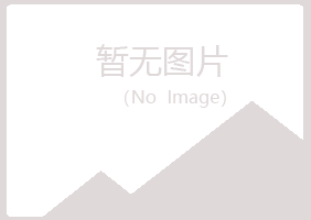 白山初夏建设有限公司